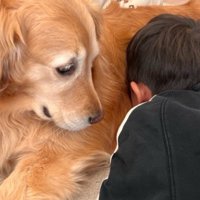 友達と喧嘩した…