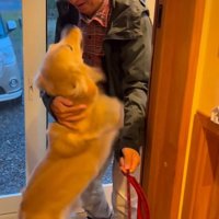 ざらめちゃんとパパの再会9