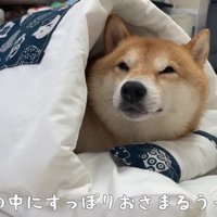 眠くなってきた…