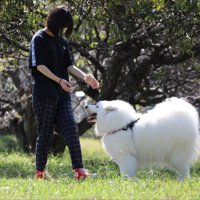 お姉ちゃん