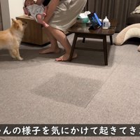 夜中も起きて様子を見にきます