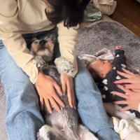 リラックスする姿にほっこり