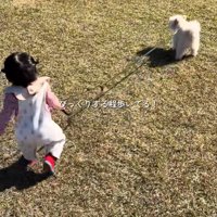 もち君と赤ちゃんのお散歩3