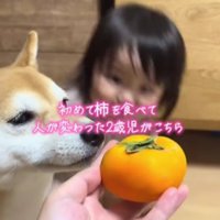 きなこちゃんもやってきた