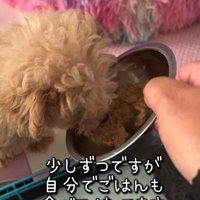 みらいちゃんが元気になるまで8