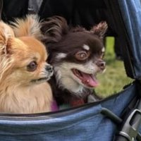 これからも幸せに！！