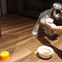 旅行中のティノちゃん5