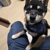 見上げる