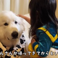 すっかり可愛いお姉さんに