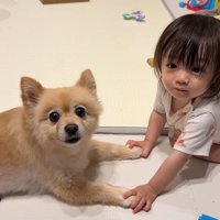 お手々を繋いでいるふたり