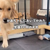 親子で追いかけっこ♪