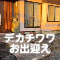 ひめちゃんのお出迎え