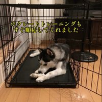 色々なトレーニングを頑張った