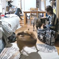 とっても嬉しそう♪