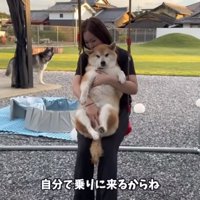 ママとおもちくん
