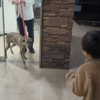 りゅうさんも弟くんも嬉しそう♪