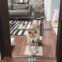 おやつをあげたら来てくれるように♪