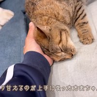 ママに甘えるたまちゃん