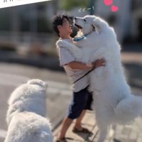 パパが登場！