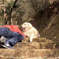 寄り添い続けるメイちゃん