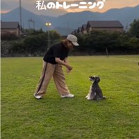 ママと犬