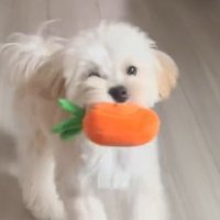 診断結果「楽しくてウキウキしてるだけ」