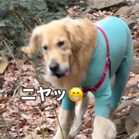 口角を上げてニヤリ