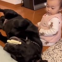 寝転がる犬と子ども