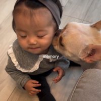 ぶうちゃんと赤ちゃん⑩