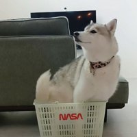 くるっと回って…