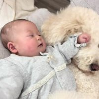 甲斐甲斐しくお世話する