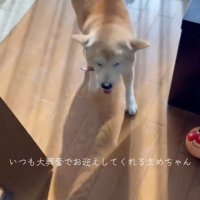 帰宅したら…