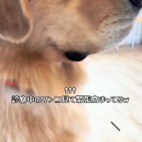 一気に真剣に…