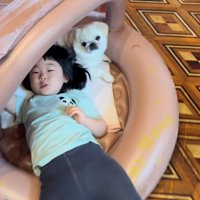 テントの中でくつろぐ犬と成長した女の子