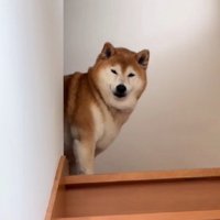 「お前かよ…」