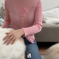 レモンさんは逃走