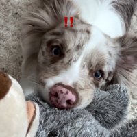 びっくりして起きたRALくん