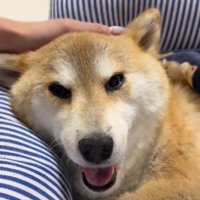 「みんな本当にありがとう」