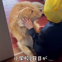 ぎゅっと抱きしめた