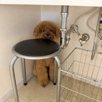 嫌です