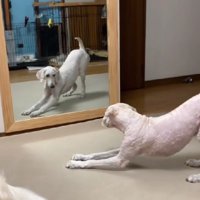 「イケてる…？？」