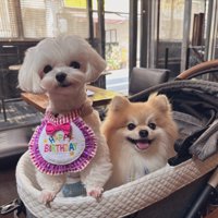 モデル