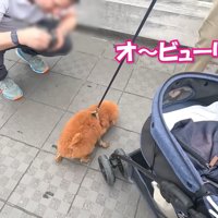 「ビューティフォー！」