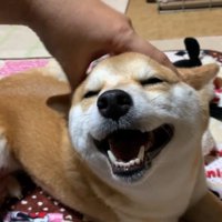 とっても幸せそう♡