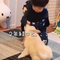 エルくんと男の子4