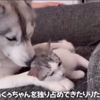 くぅちゃんを離さないりりたん8