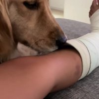 「ん？隙間がある…」