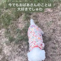 おばあちゃんも喜んでるかな