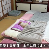 まるで人間みたいな寝姿♡