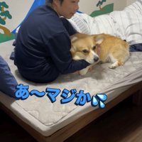 ずっと撫でられるジッさん